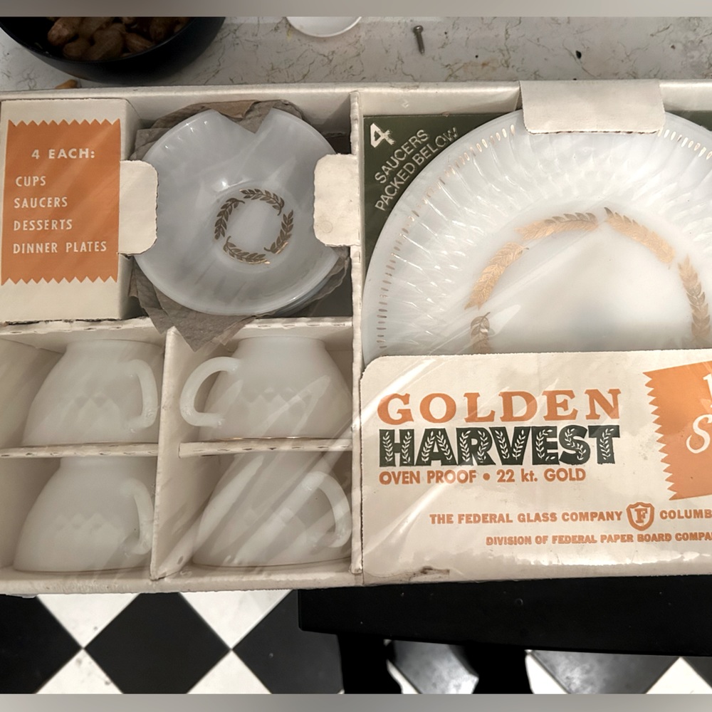 16 Piece Dish Starter Set